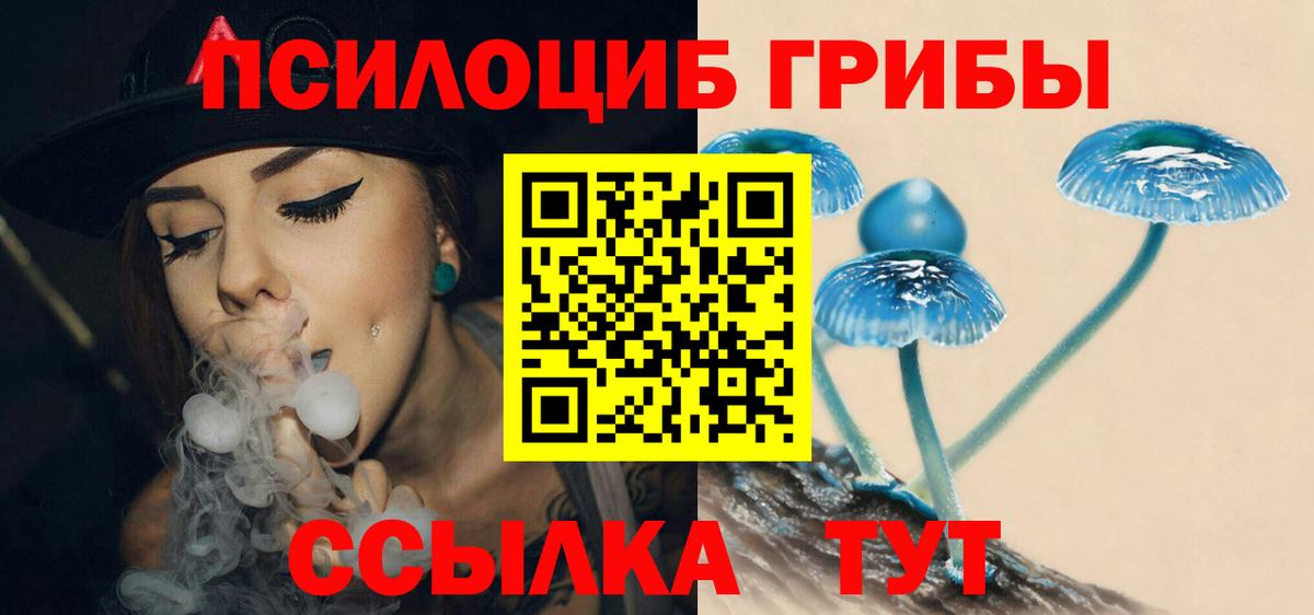 купить   Псилоцибиновые грибы Magic Shrooms  Вход с VPN  Большой Камень 