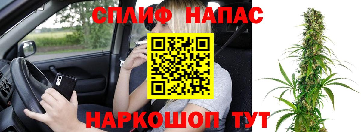 Бошки Шишки семена  Канабис ГИДРОПОН  Большой Камень  Вход с VPN  Марихуана White Widow 